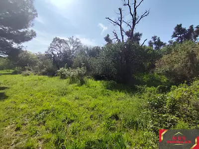 Terrain, 7 855 m²