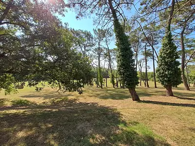 Maison, 236 m²