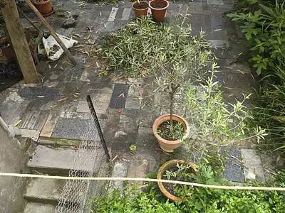 Immeuble, 150 m²