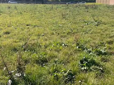 Terrain, 691 m²