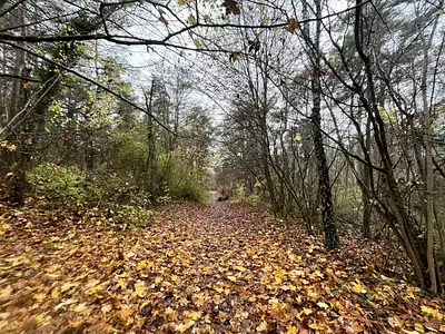 Terrain, 108 475 m²