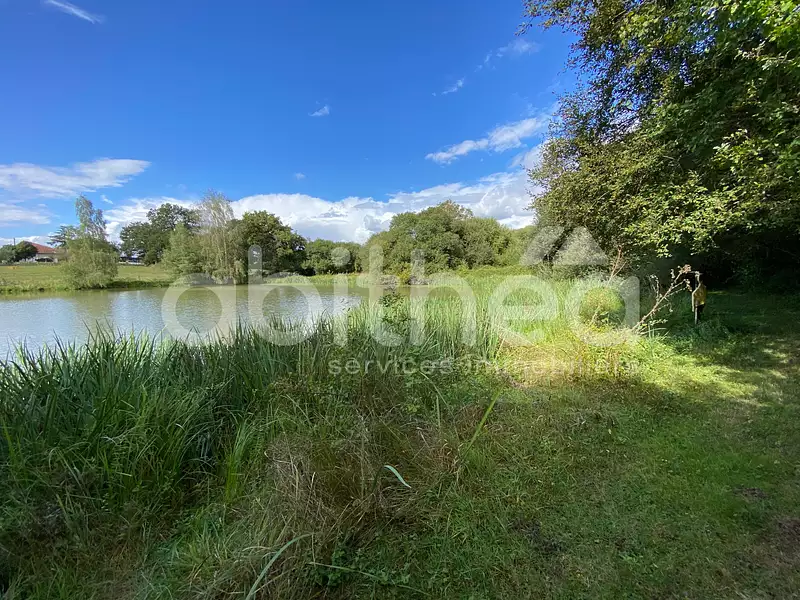 Terrain, 25 228 m²
