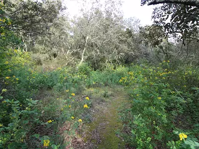 Terrain, 8 914 m²