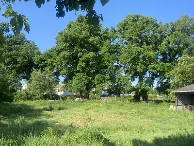 Terrain, 1 000 m²