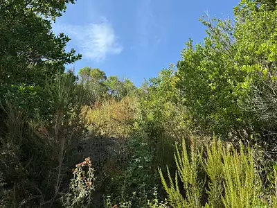Terrain, 500 m²