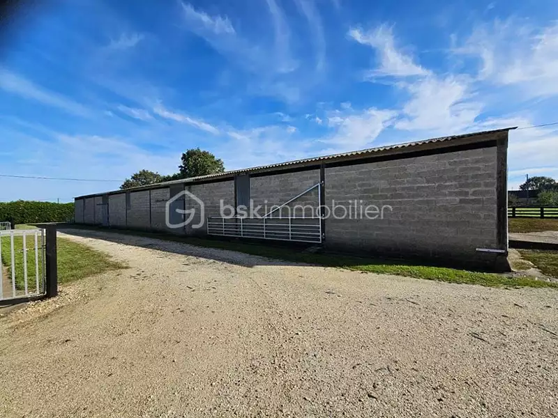 Terrain, 200 000 m²