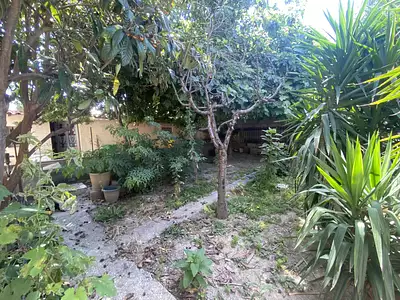 Maison, 80 m²
