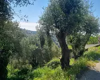 Terrain, 1 161 m²