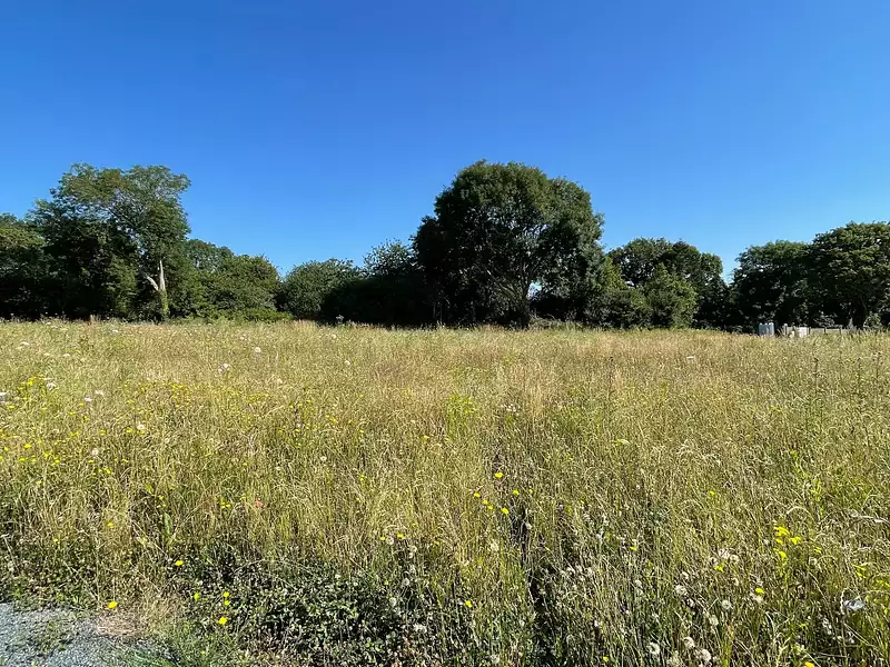 Terrain, 401 m²