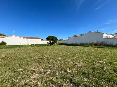 Terrain