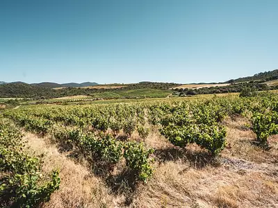 Terrain, 148 075 m²