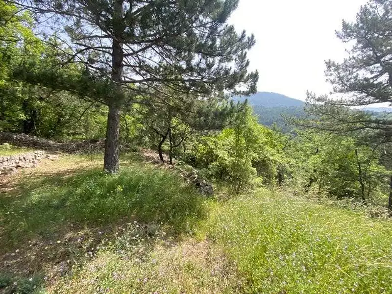 Terrain, 2 253 m²