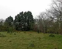 Terrain, 1 742 m²