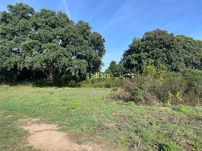 Terrain, 900 m²
