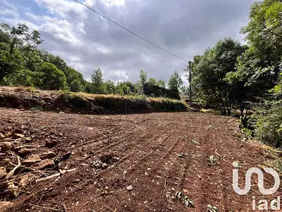Terrain, 1 195 m²