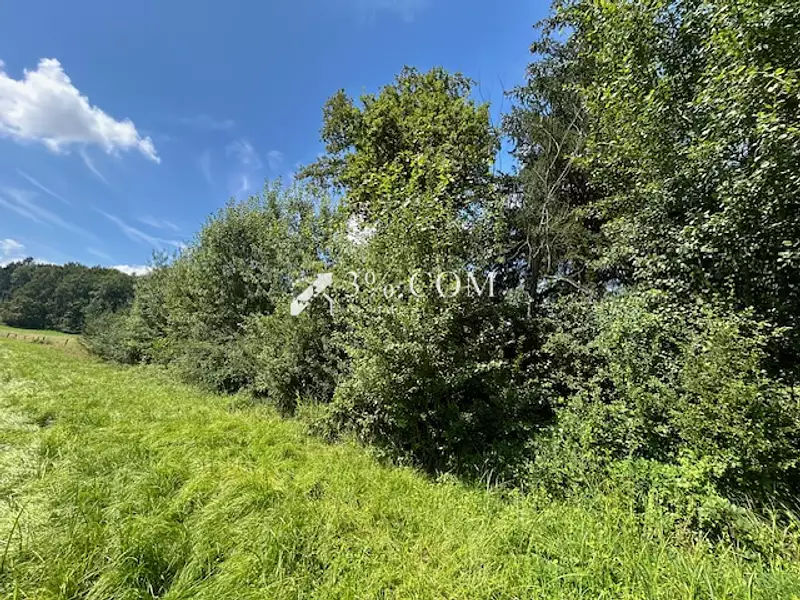 Terrain, 11 407 m²