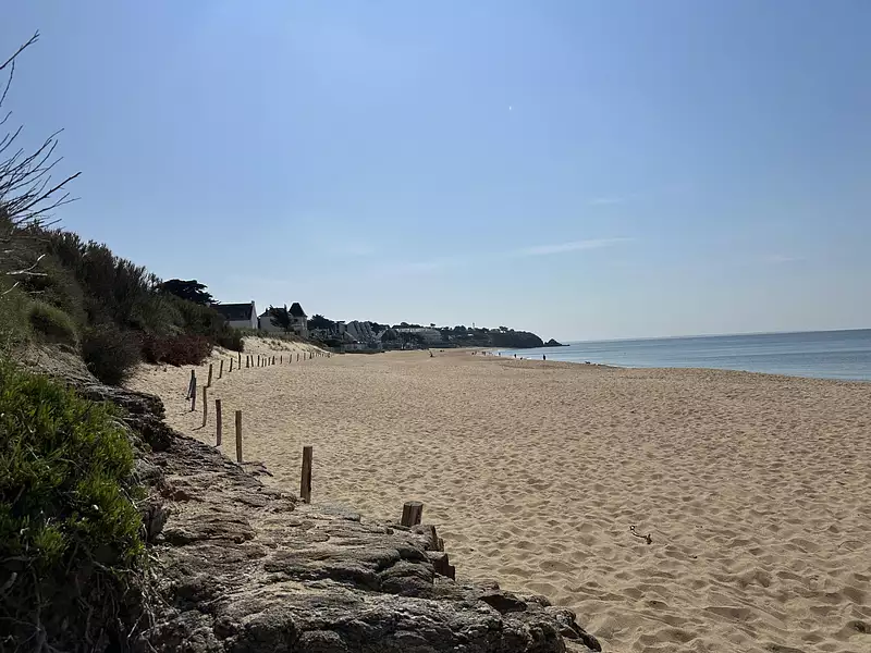 Appartement, 50,19 m²