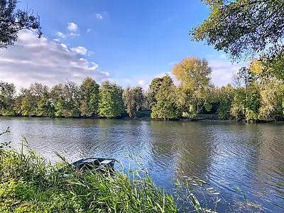Terrain, 17 170 m²