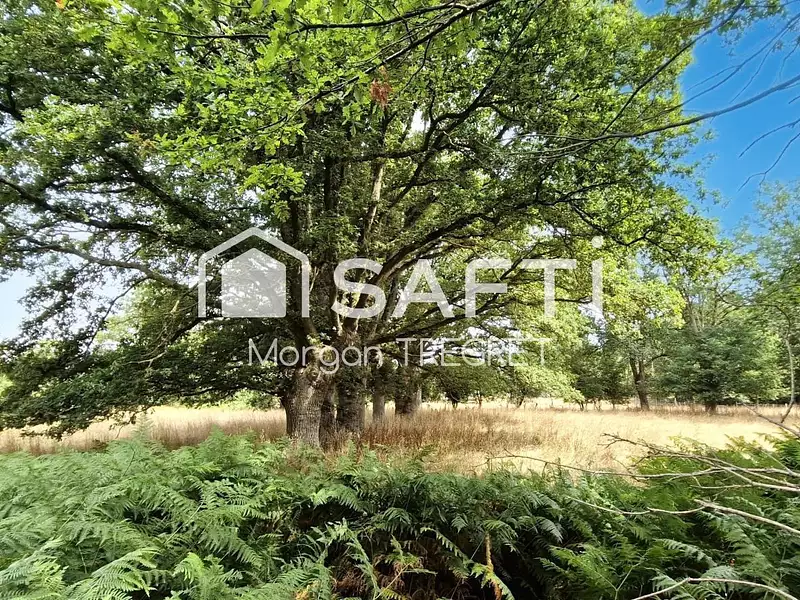 Terrain, 5 320 m²