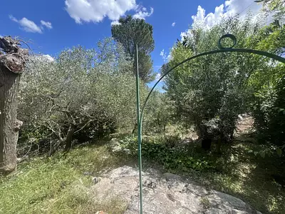 Terrain, 35 m²