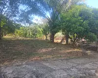 Terrain, 10 004 m²