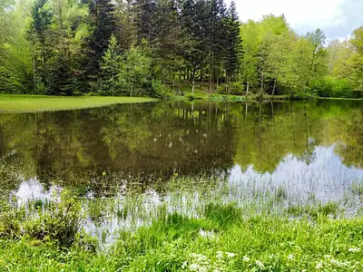 Terrain, 17 892 m²