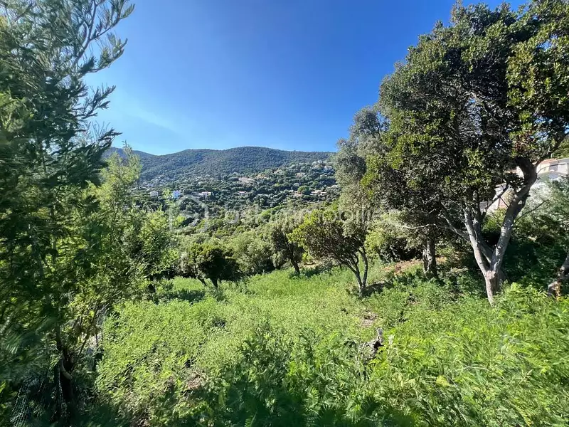 Terrain, 1 198 m²