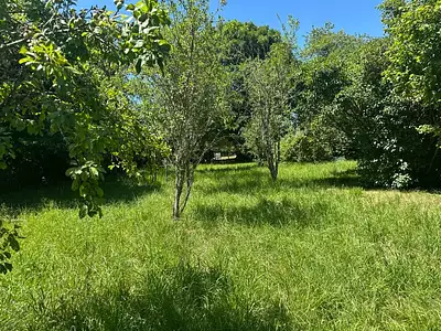 Maison, 137 m²