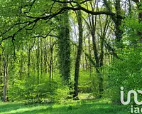 Terrain, 50 000 m²