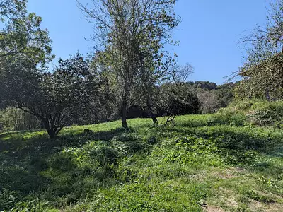 Maison, 65 m²