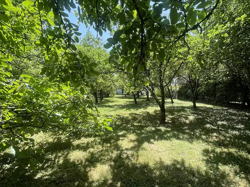Maison, 208 m²