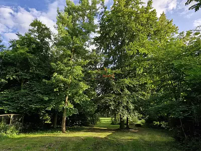 Maison, 232 m²