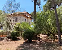 Appartement, 19,09 m²