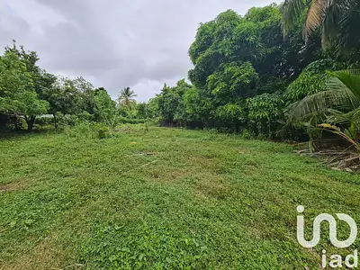 Terrain, 1 196 m²