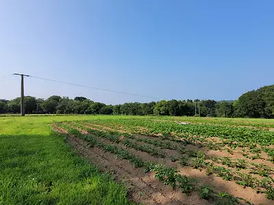 Terrain, 7 627 m²