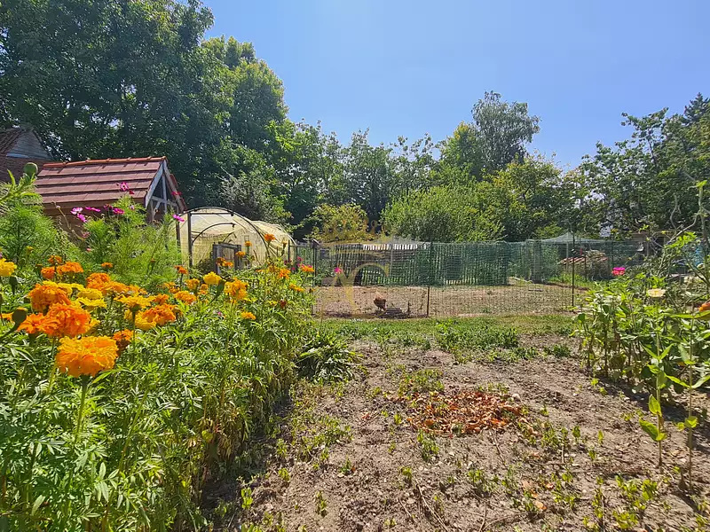 Maison, 59,3 m²