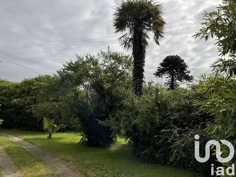 Terrain, 554 m²