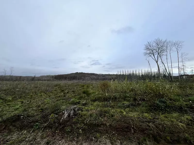 Terrain, 110 312 m²