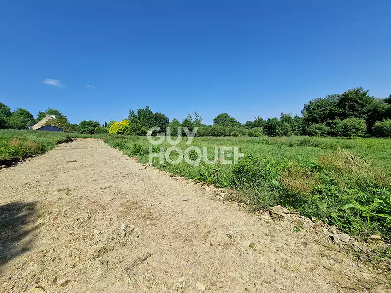 Terrain, 455 m²