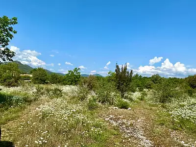 Terrain, 4 368 m²