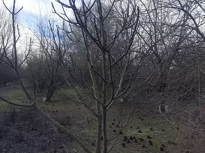 Terrain, 16 110 m²