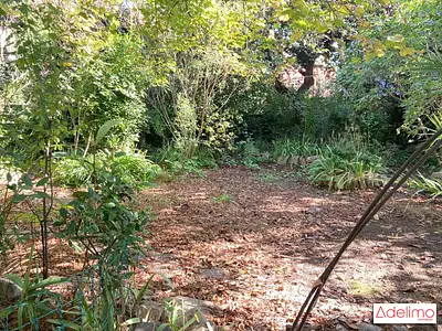 Terrain, 220 m²