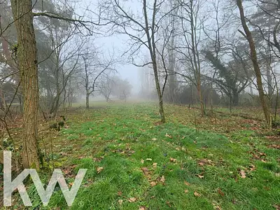 Terrain, 3 113 m²