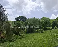 Terrain, 776 m²