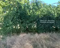 Terrain, 2 665 m²