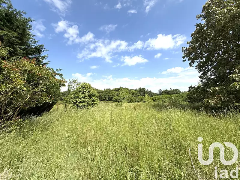 Terrain, 6 049 m²