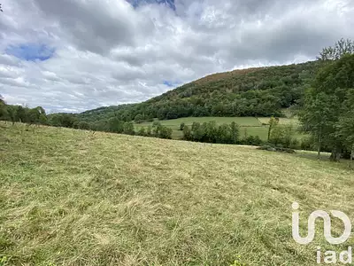 Terrain, 2 519 m²