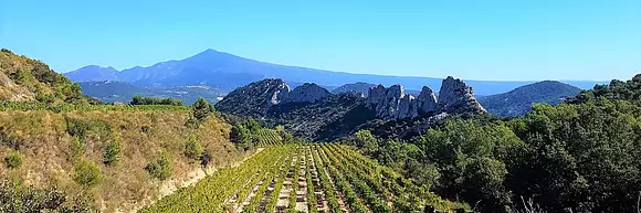 Côté Ventoux Immobilier