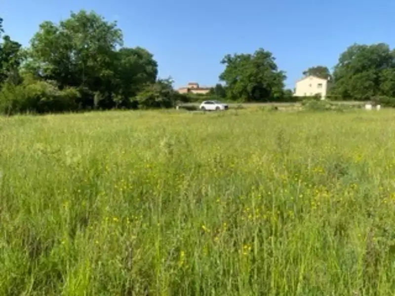 Terrain, 1 017 m²