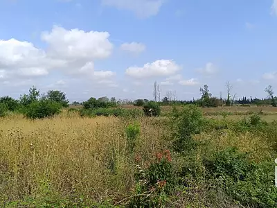 Terrain, 1 719 m²